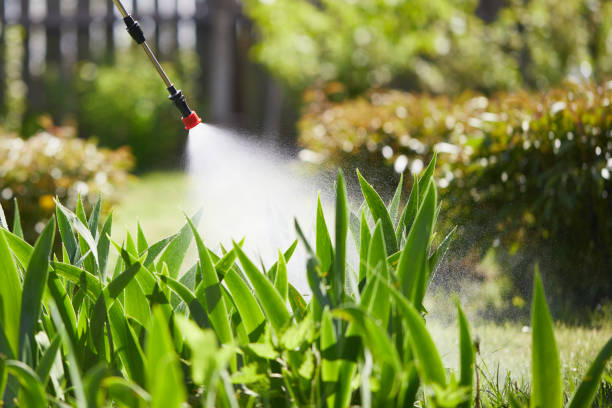 24/7 Emergency Ant Control experts in El Dorado, AR