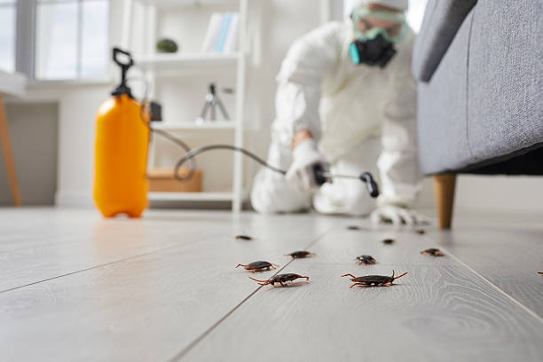 Trusted Emergency Pest Control service in El Dorado, AR - Nex Pest Control